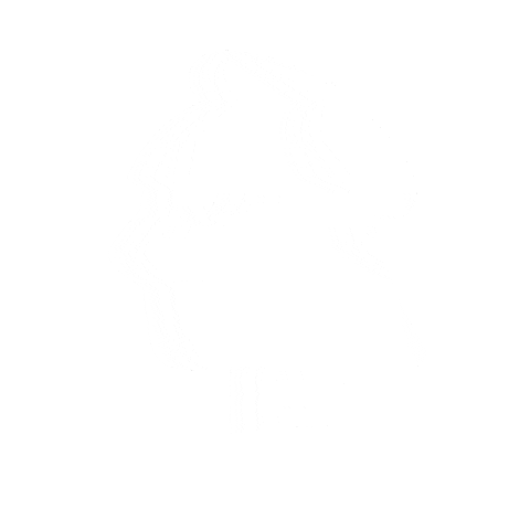 White Sticker