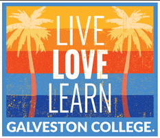 Love GIF by Galveston College