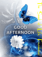 Good Afternoon Day GIF by The Seed of Life Foundation
