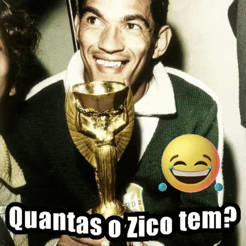 Zico GIF