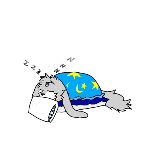 Zzz Sleeping GIF