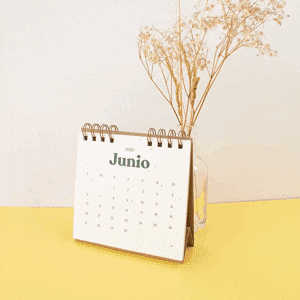 Calendar Schedule GIF by Gnomo