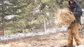 Chris Burns Snowing GIF by JC Property Professionals