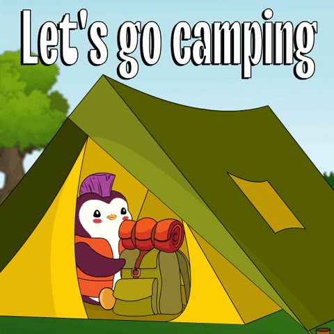 Penguin Camping GIF by Pudgy Penguins
