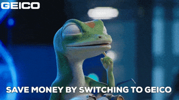 Car Insurance GIF by GEICO