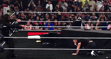 Roman Reigns Wwe GIF