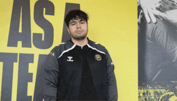 Lets Go Thumbs Up GIF by Team Vitality