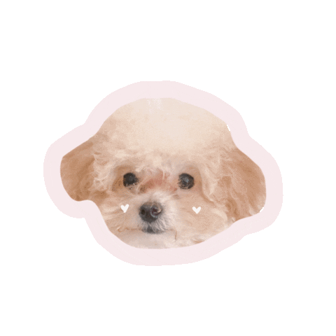 Dog Sticker