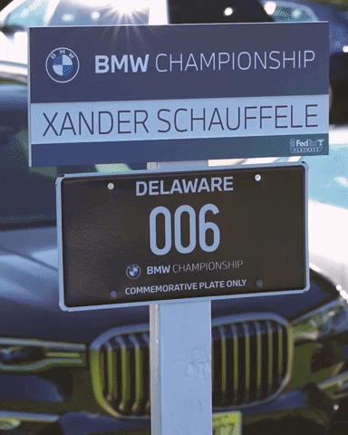 GIF by BMW Championship