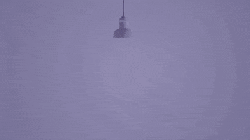 D20 GIF
