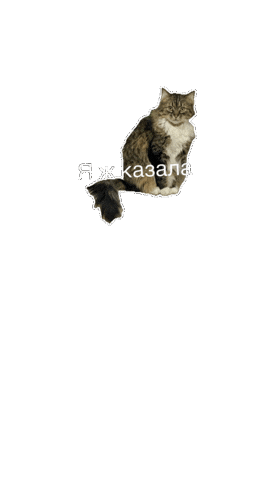 Я Ж Казала Sticker