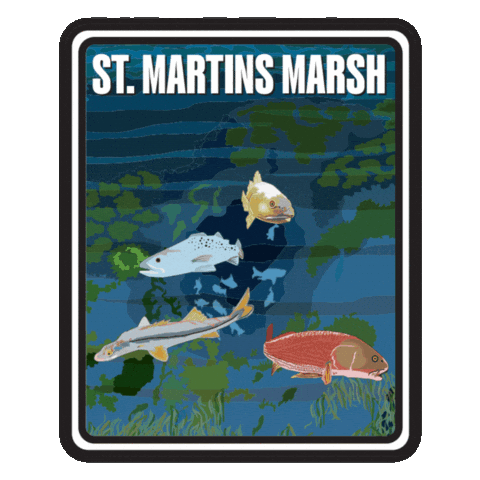 Aquatic Preserve Sticker by FLDEP