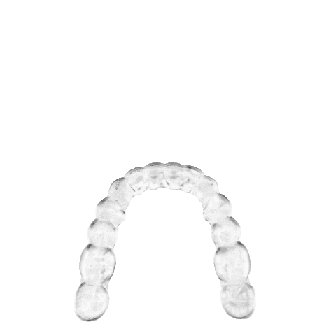 Ezaligner Brasil Sticker