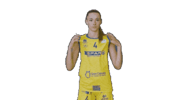 Club Baloncesto Islas Canarias Sticker