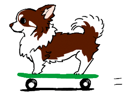 Chihuahua Sticker by うちクリ