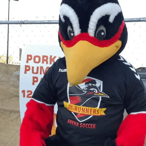nmrunners party celebrate mascot new mexico GIF