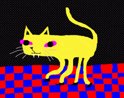 Cat Weirdcat GIF