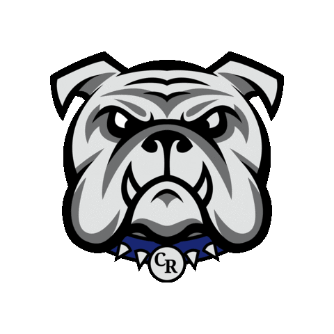 Cobleskill-Richmondville CSD Sticker