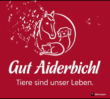 Gut Aiderbichl GIF