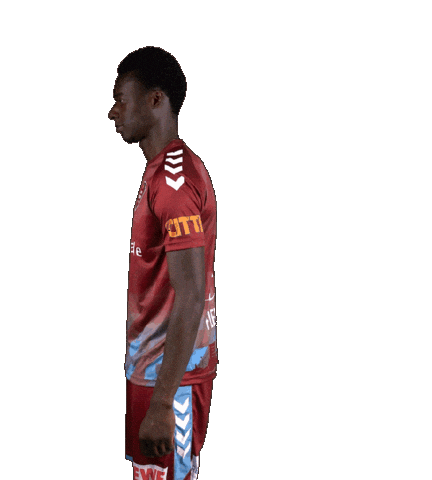 Sport Soccer Sticker by SC Weiche Flensburg