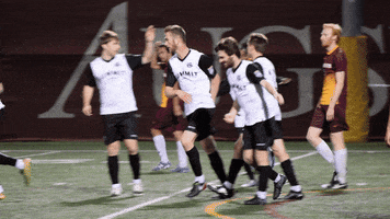 high five soccer GIF by Minneapolis City SC