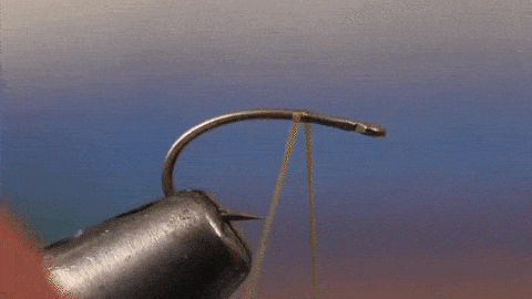 hook
