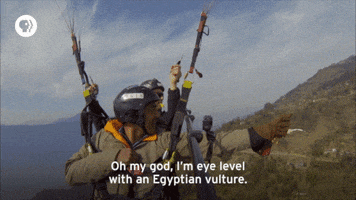 pbs adventure GIF by EARTH A New Wild