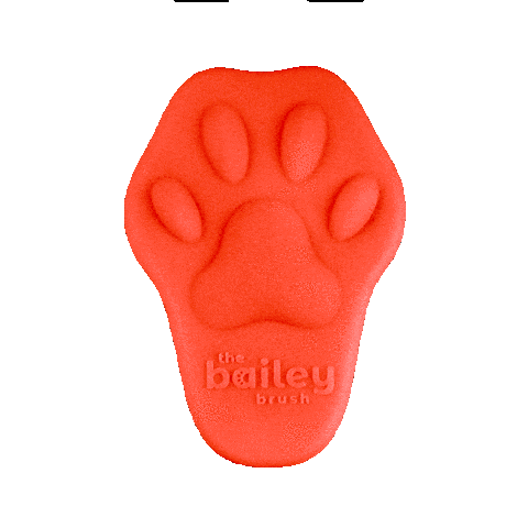 Donnie Cat Brush Sticker by BaileyCatCo