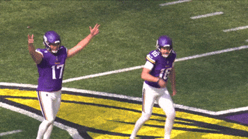 Skolvikings GIF by Minnesota Vikings