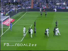 Ashevoo  GIF