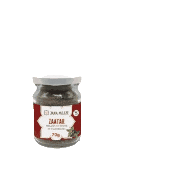 JANA MEZZE Sticker