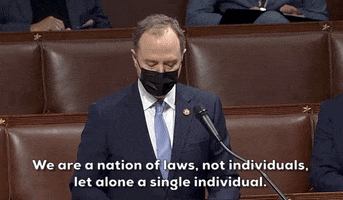 Adam Schiff January 6Th GIF by GIPHY News
