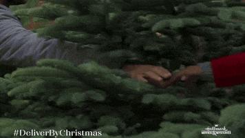 Christmas Tree Love GIF by Hallmark Mystery