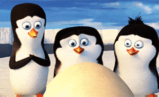 Madagascar Penguins GIFs - Find & Share on GIPHY