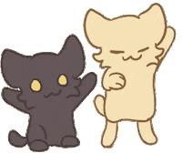 Dance Sad Cat Dance Sticker - Dance Sad Cat Dance Sad Cat Meme - Discover &  Share GIFs