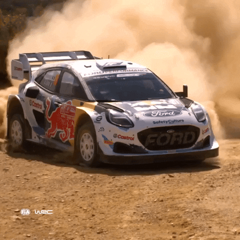 Ford Racing GIF by FIA World Rally Championship