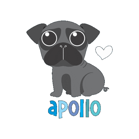 Animated Sticker