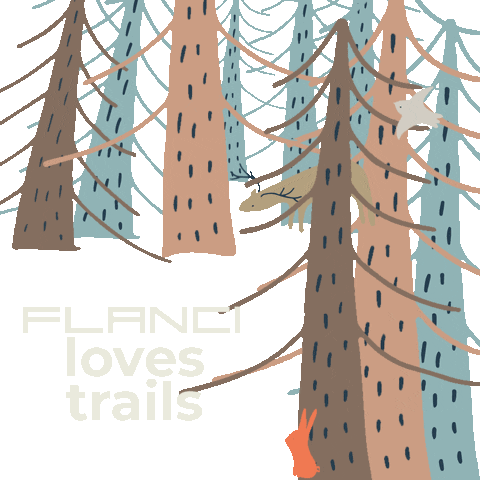 Flancirunning Sticker by FLANCI Activewear