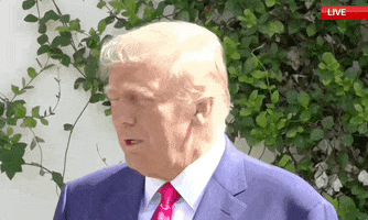 Donald Trump Vote GIF by GIPHY News