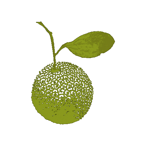 Pomifera Sticker