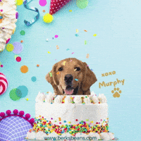 dog singing happy birthday gif