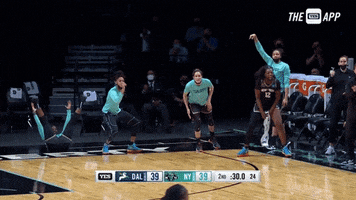 Womens Basketball GIF by WNBA