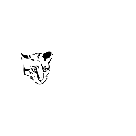 bichodomato Sticker