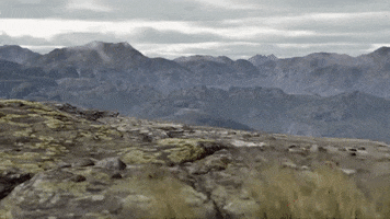 Climbing Kite GIF by Unreal Engine
