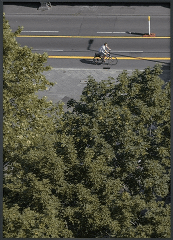 Tounou GIF