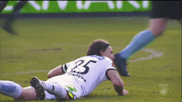 Dont Give Up GIF by SK Sturm Graz