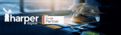 Seo Auckland GIF