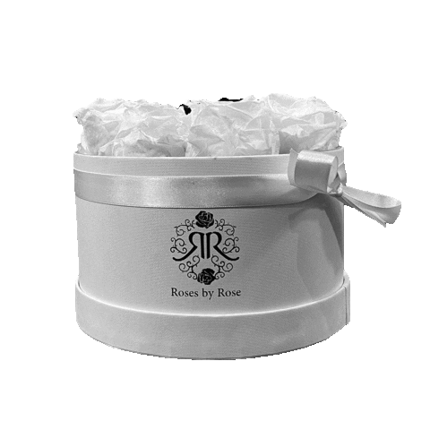 Roos Sticker by Roses by Rose