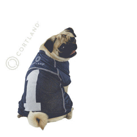 Cortland Sticker