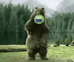 200.gif?cid=fc005b0835b27f8f4c9ae0a24456b84407eb09bc14b77235&rid=200.gif&ct=g